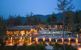 Izz Getaway - Adults Only